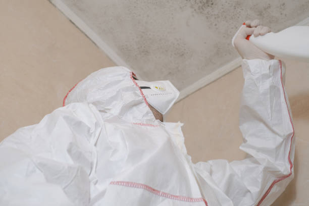 Best Home Mold Removal  in Pea Ridge, WV