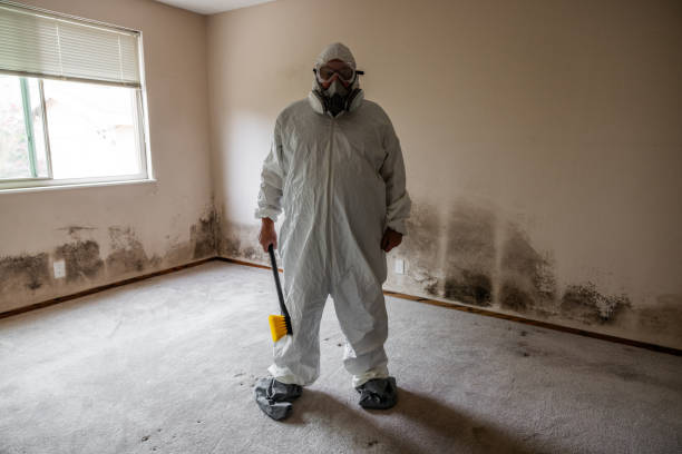 Best Emergency Mold Removal  in Pea Ridge, WV